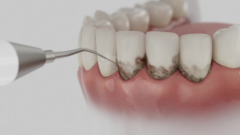 Reliable Dental contractor in South Browning, MT by Dentist Open Now